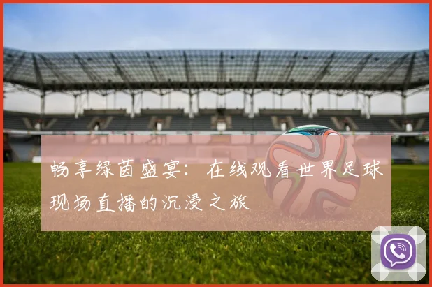 畅享绿茵盛宴:在线观看世界足球现场直播的沉浸之旅