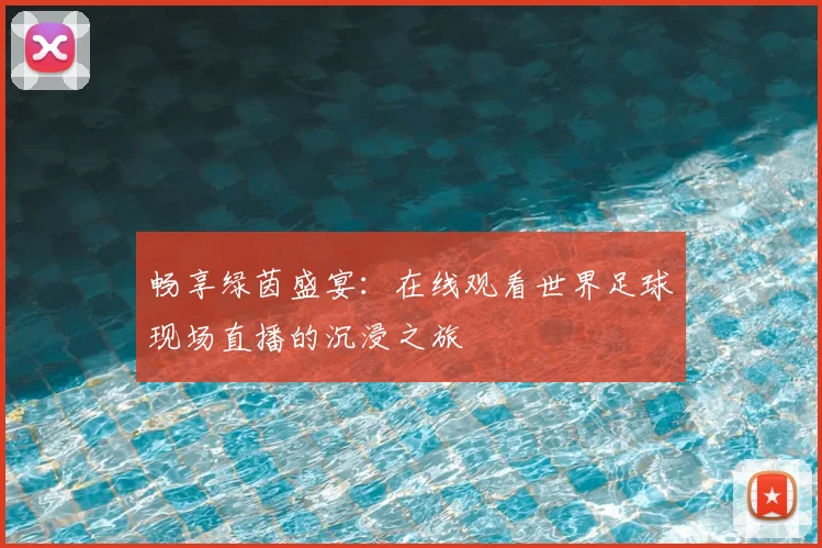 畅享绿茵盛宴:在线观看世界足球现场直播的沉浸之旅